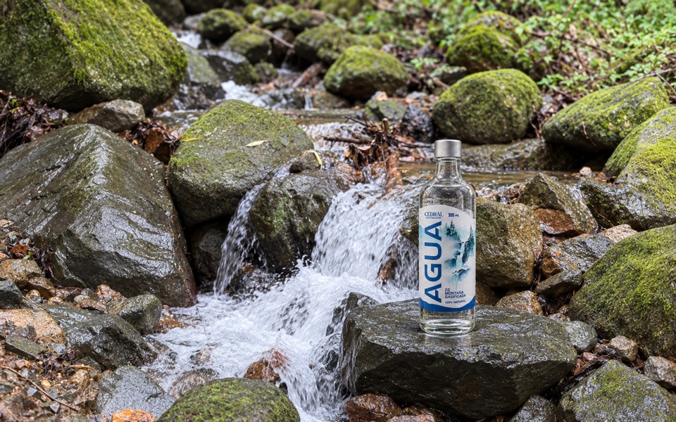 La botella completa, la misma de la portada, ahora entendida.