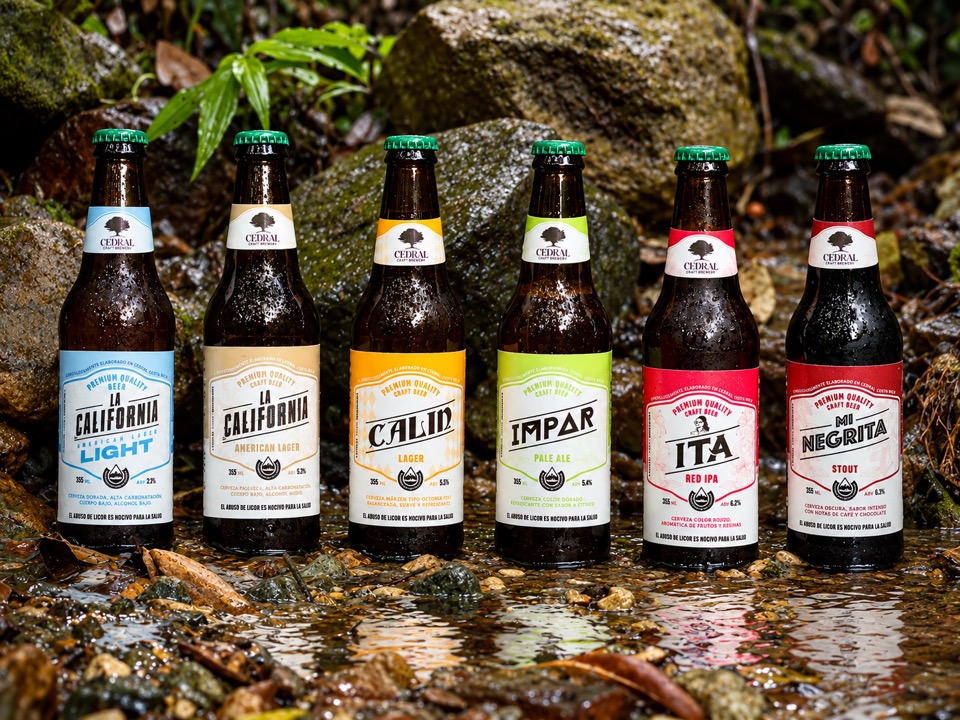 Las seis botellas juntas sobre madera, con el bosque detrás